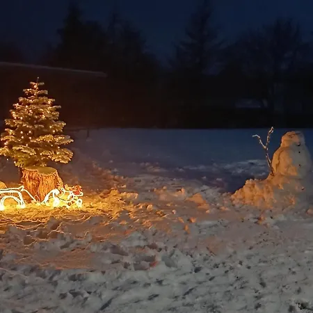 Przystanek Nowekoprzywno - Zolty Pod Kasztanem 度假居 *