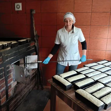 펜션 Przystanek Nowekoprzywno - Zolty Pod Kasztanem *