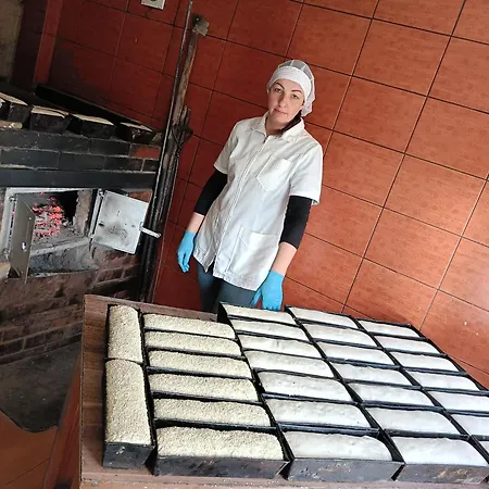 Hébergement de vacances Przystanek Nowekoprzywno - Zolty Pod Kasztanem *