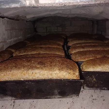 Hébergement de vacances Przystanek Nowekoprzywno - Zolty Pod Kasztanem Barwice