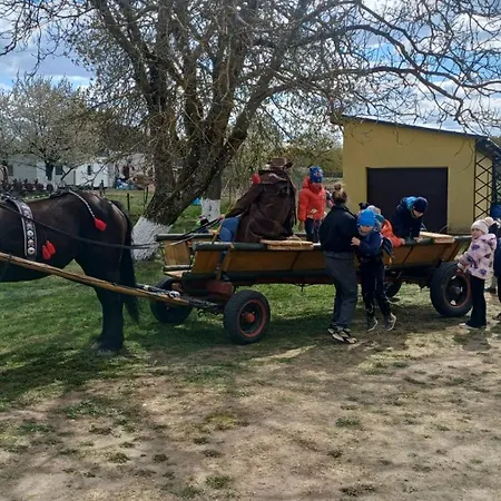 Przystanek Nowekoprzywno - Zolty Pod Kasztanem * Barwice