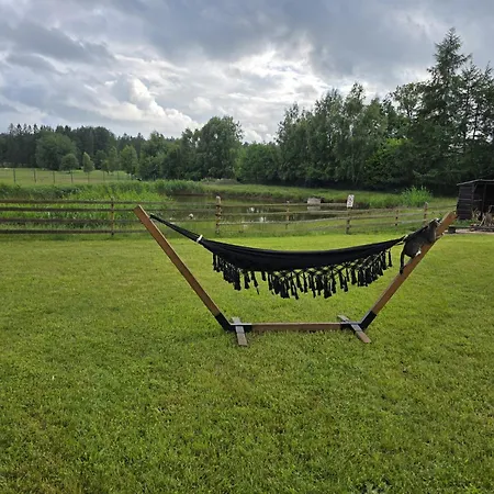 Przystanek Nowekoprzywno - Zolty Pod Kasztanem *