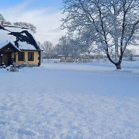 Przystanek Nowekoprzywno - Zolty Pod Kasztanem Barwice