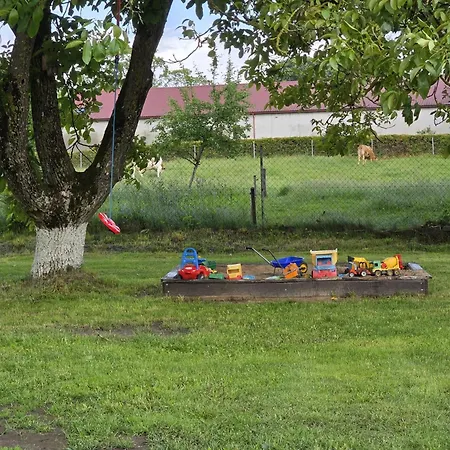 Casa vacanze Przystanek Nowekoprzywno - Zolty Pod Kasztanem *