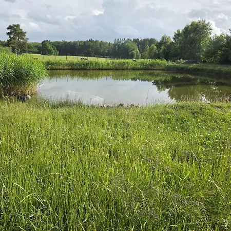 Casa vacanze Przystanek Nowekoprzywno - Zolty Pod Kasztanem