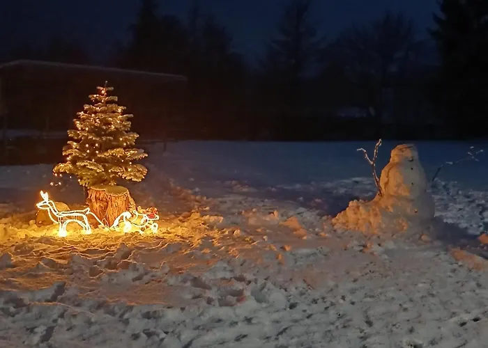 Przystanek Nowekoprzywno - Zolty Pod Kasztanem Ferienhaus *