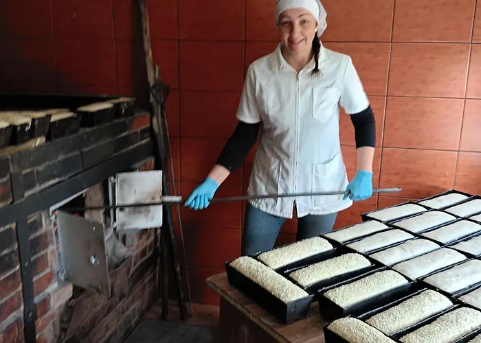 Ferienhaus Przystanek Nowekoprzywno - Zolty Pod Kasztanem *