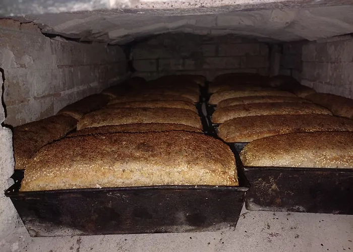 Ferienhaus Przystanek Nowekoprzywno - Zolty Pod Kasztanem Barwice