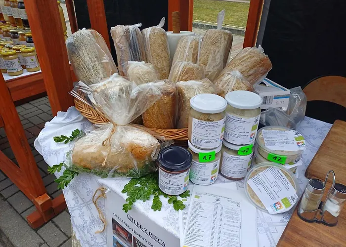 Przystanek Nowekoprzywno - Zolty Pod Kasztanem